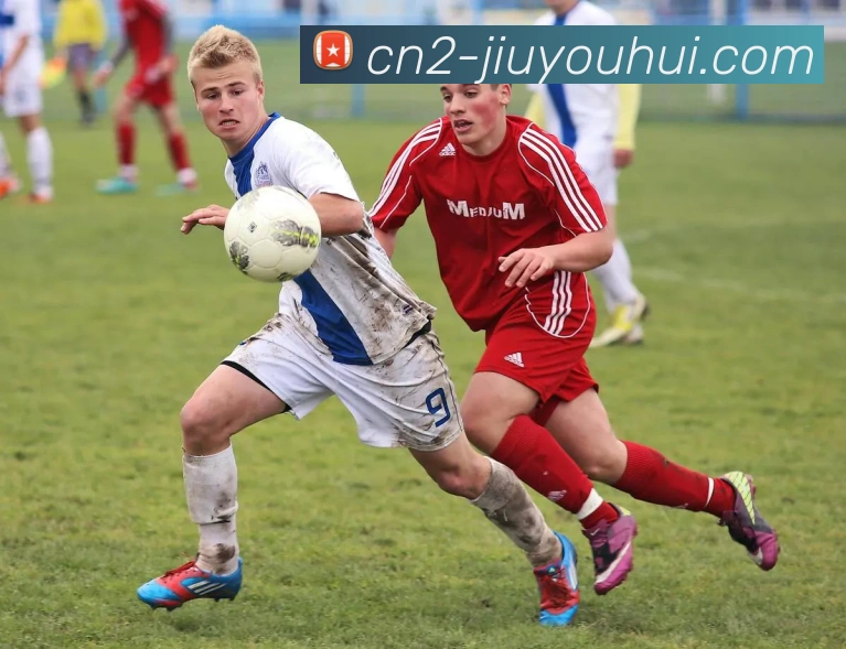 App Interface Preview